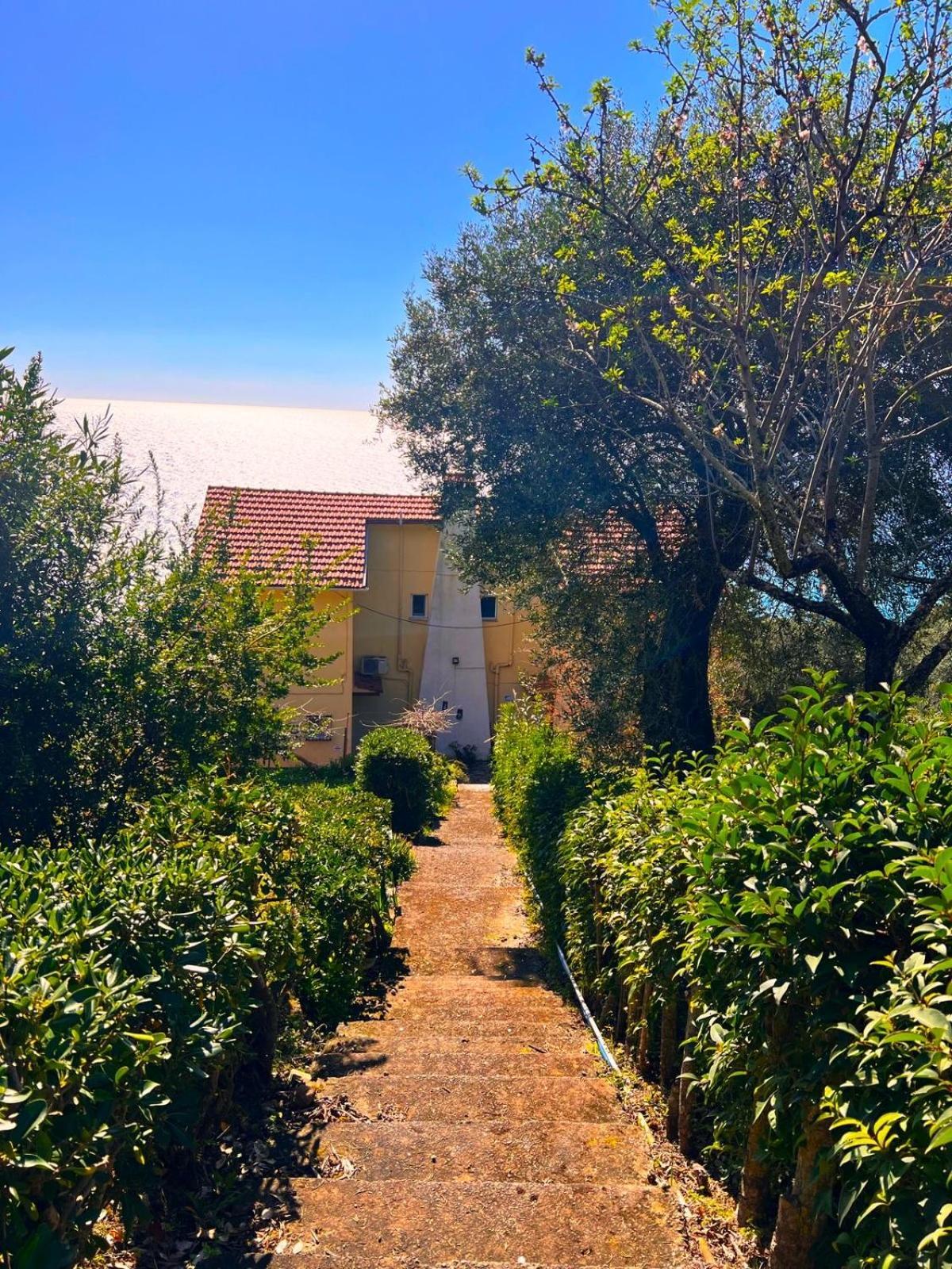 Stefanos Apartments Agios Gordios  Exterior foto